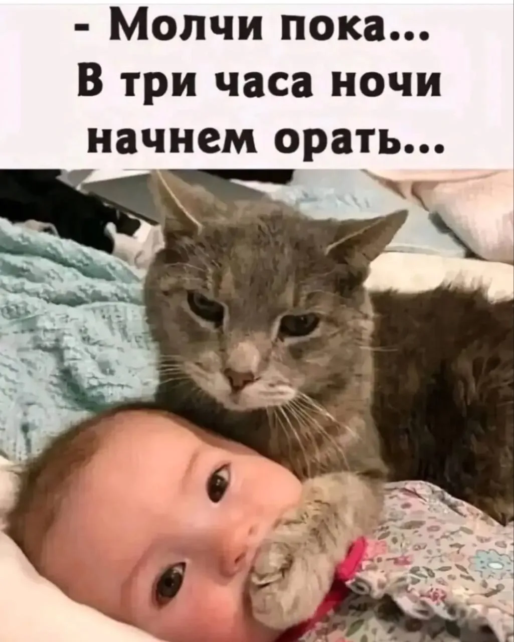 Изображение 1 к публикации «Ведьмин котелок | Юмор»