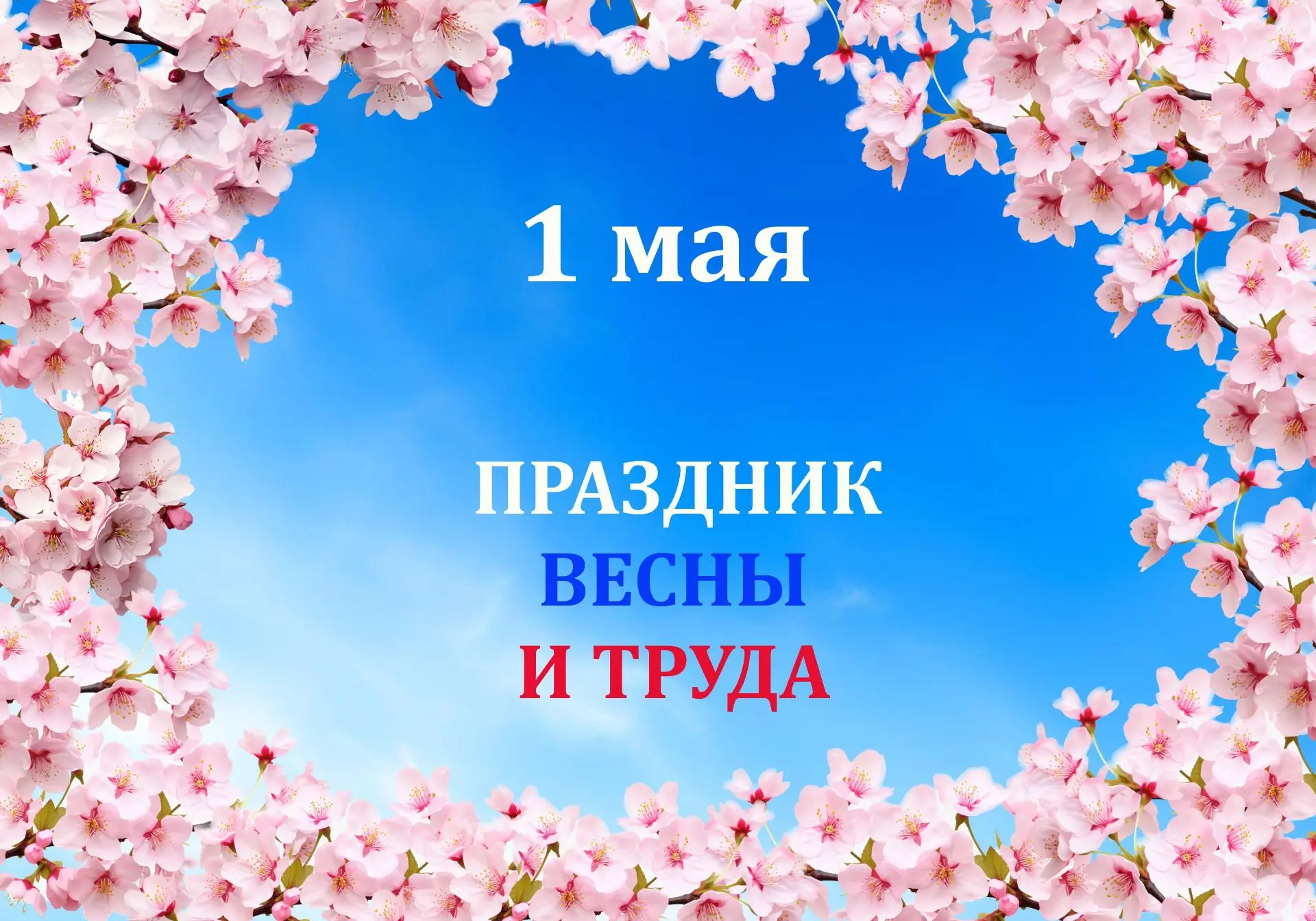 Уважаемые подписчики!