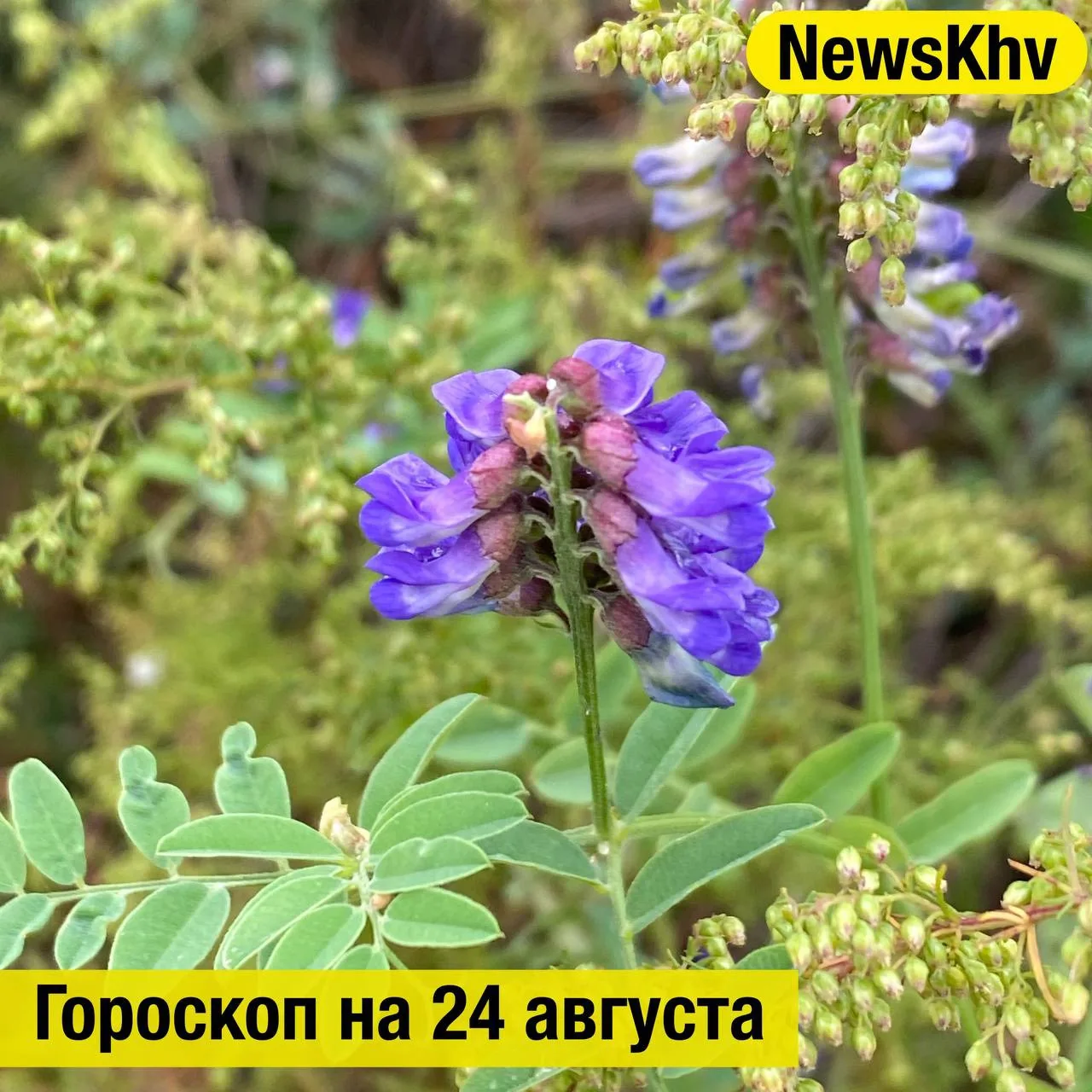 ОВЕН ♈️