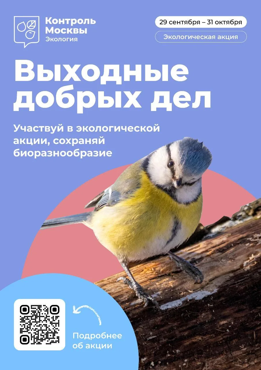 🐿️ Лесные соседи переходят на зимнее меню