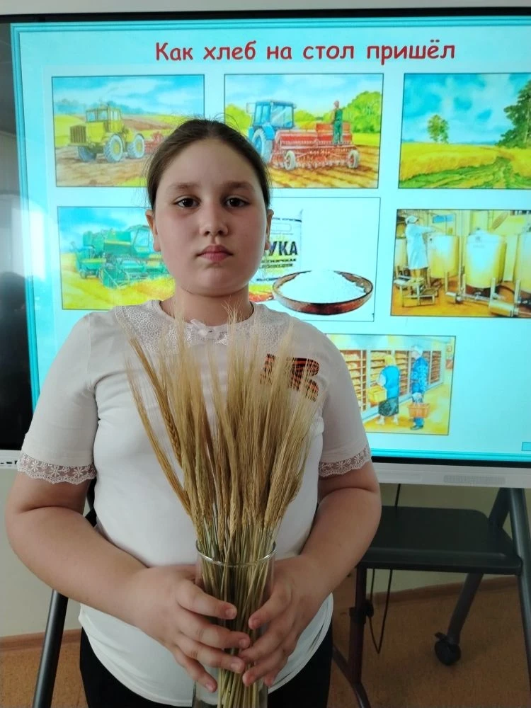 Экскурсия в школьный краеведческий музей.