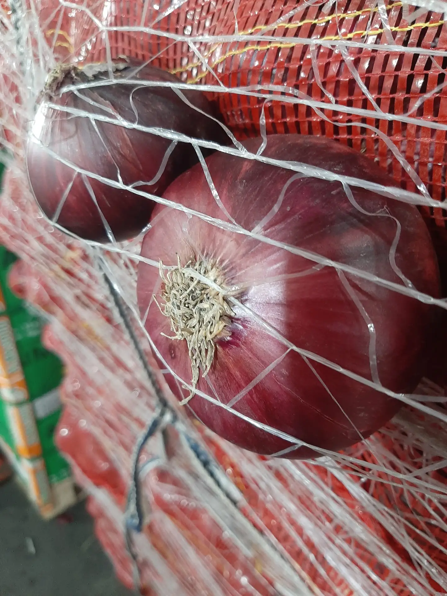 От подписчика ShamKO