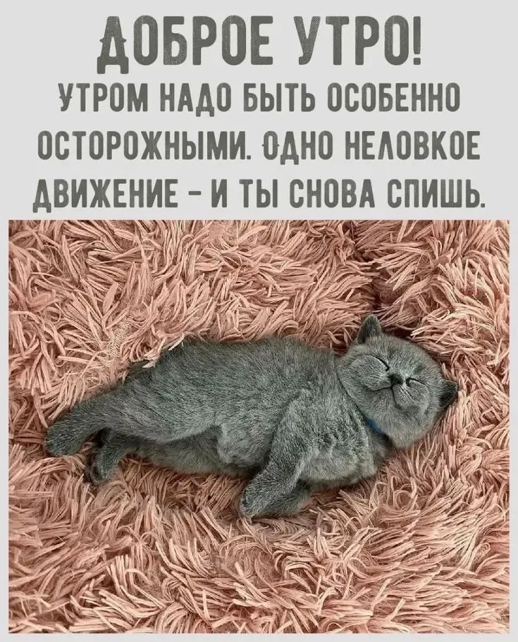 Кто тоже сегодня уснул после будильника? 🙋
