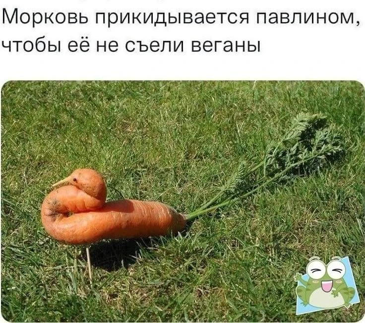 Веснушка Юмор