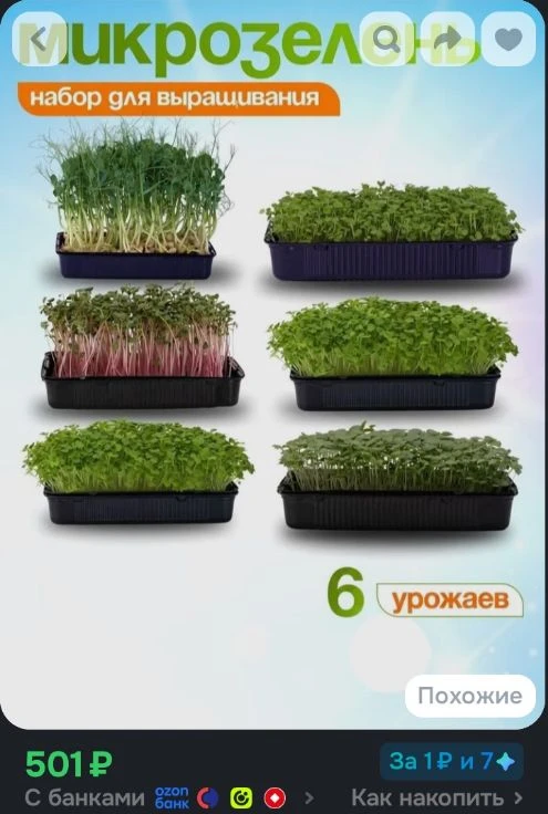 Микрозелень набор для выращивания из семян в контейнере 6 урожаев