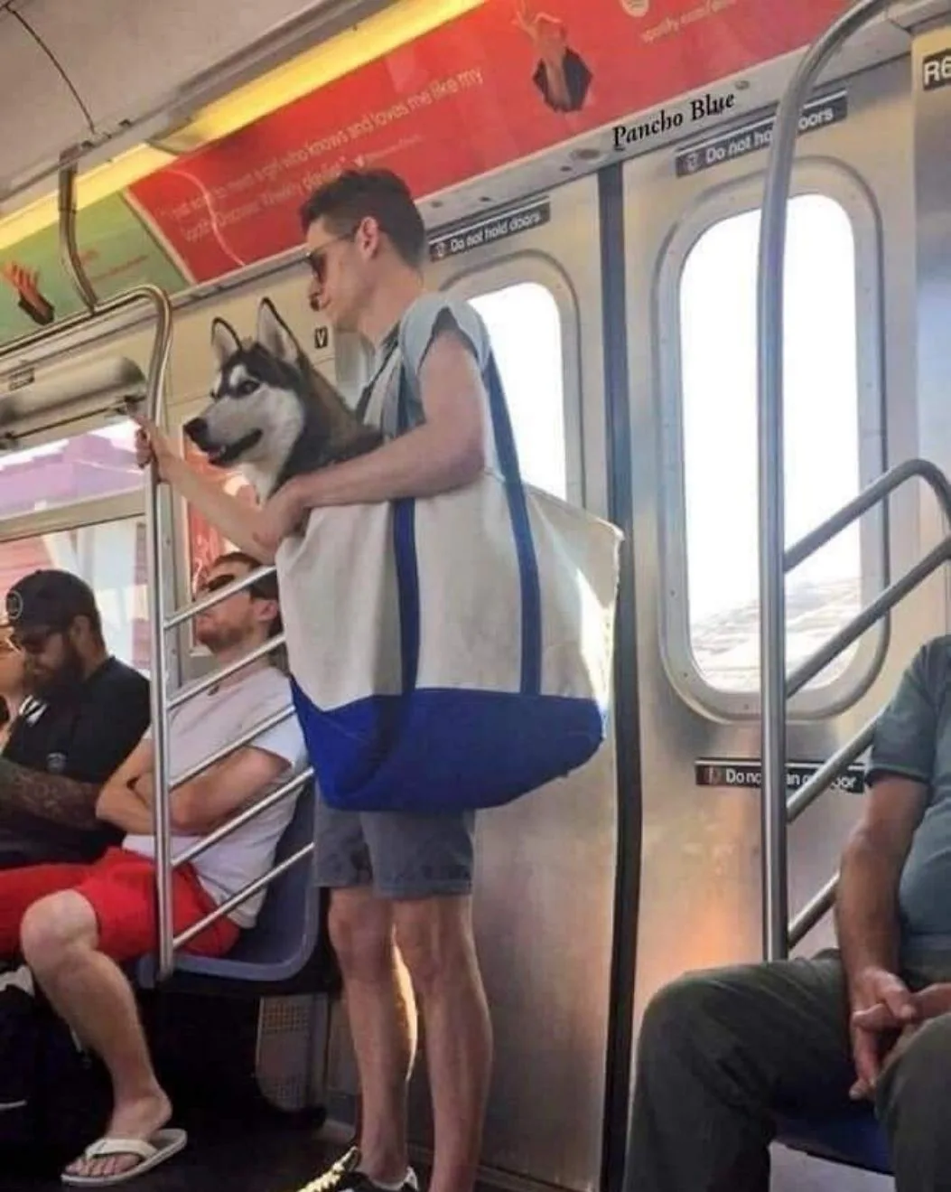 Предложка:
