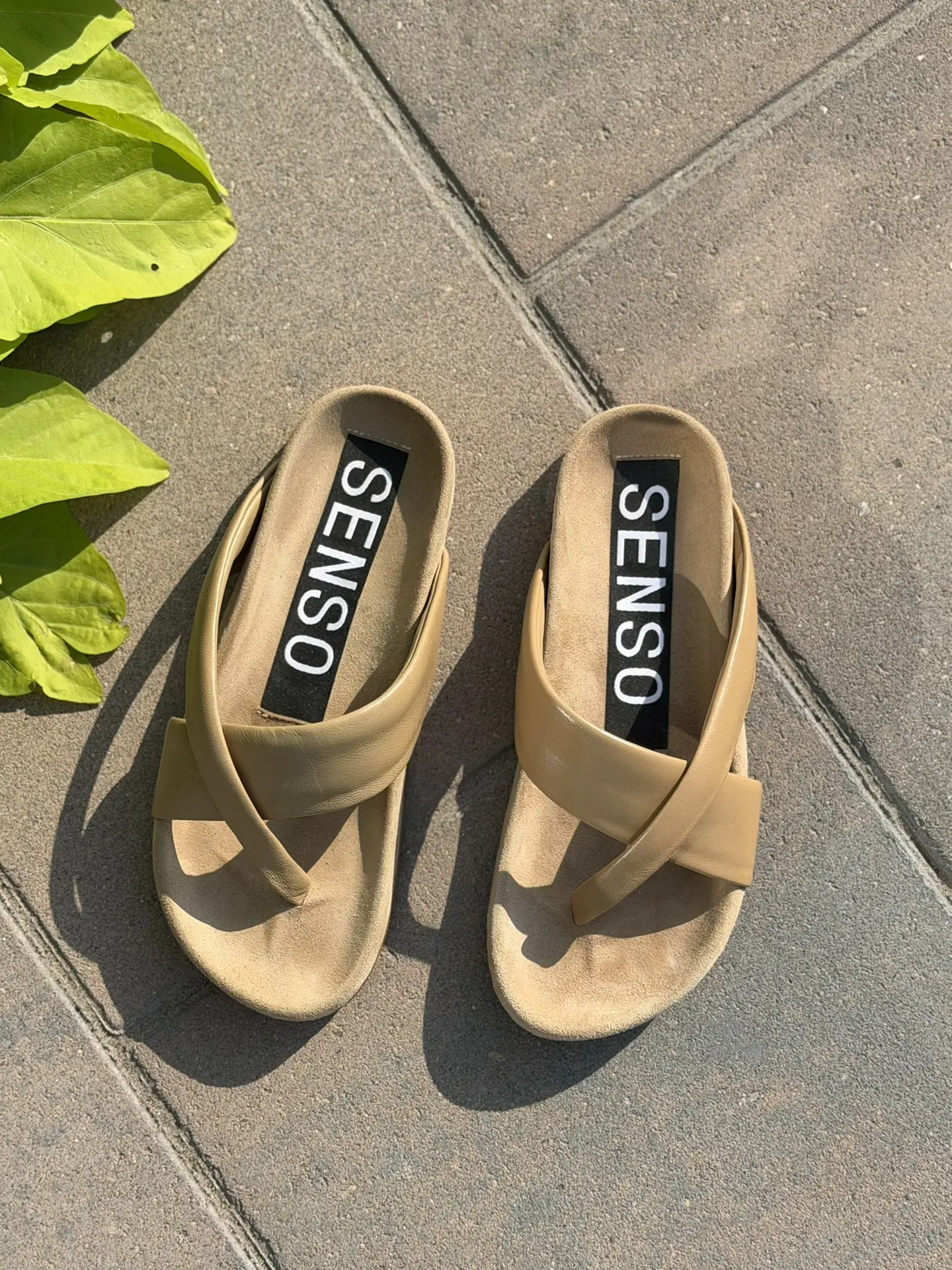Сабо SENSO
