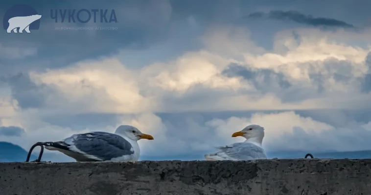 🌦 30 августа в округе будет облачно с прояснениями, возможны дожди, местами со снегом,...