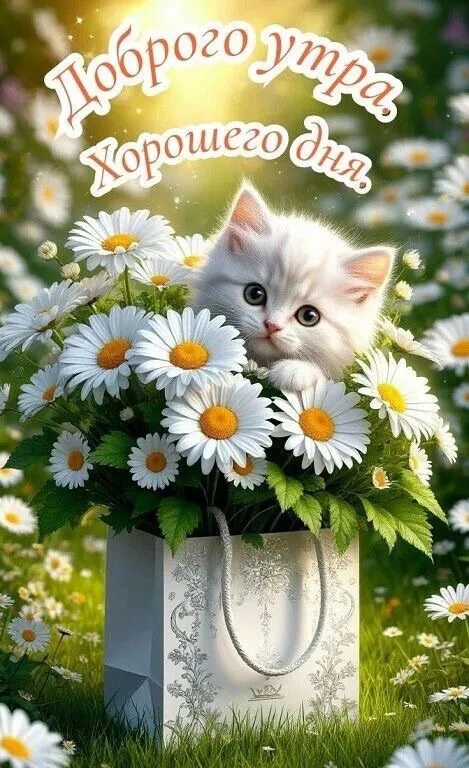 КРАСИВЫЕ ОТКРЫТКИ ТУТ💖