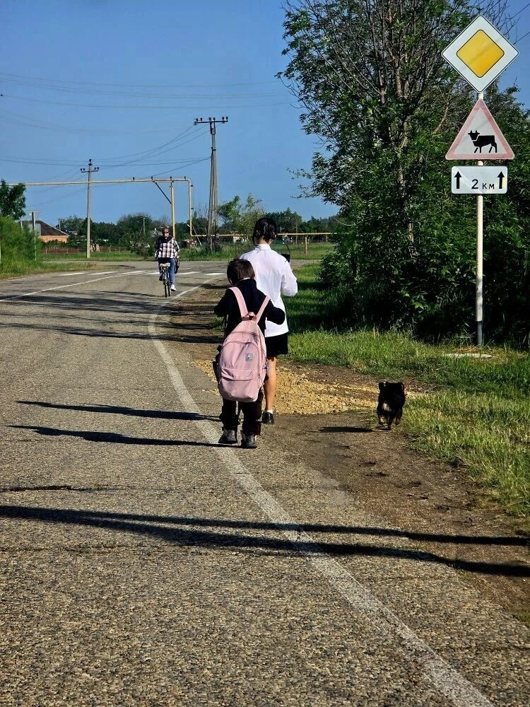 Считанные дни остались до конца учебного года. Еще немного, еще чуть-чуть — навстречу знаниям и лету
