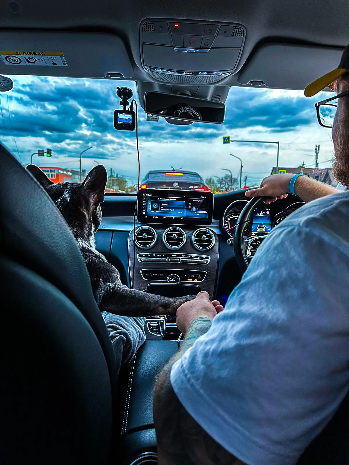 🐶 Пушистый DRIVE2: в отпуск с хвостатыми  Может ли инспектор штрафовать за собаку или кота в машине?