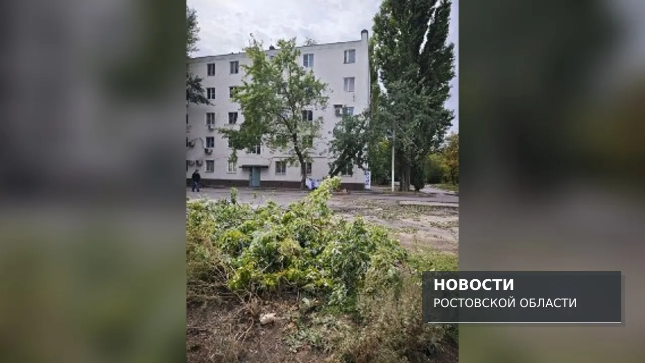 В Волгодонске до сих пор видны следы сильного ветра