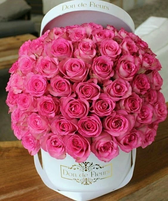 🌺 🌺 🌺 

...Добрых вестей...
Добрых людей...
Крепкого здоровья..

................~*~.............