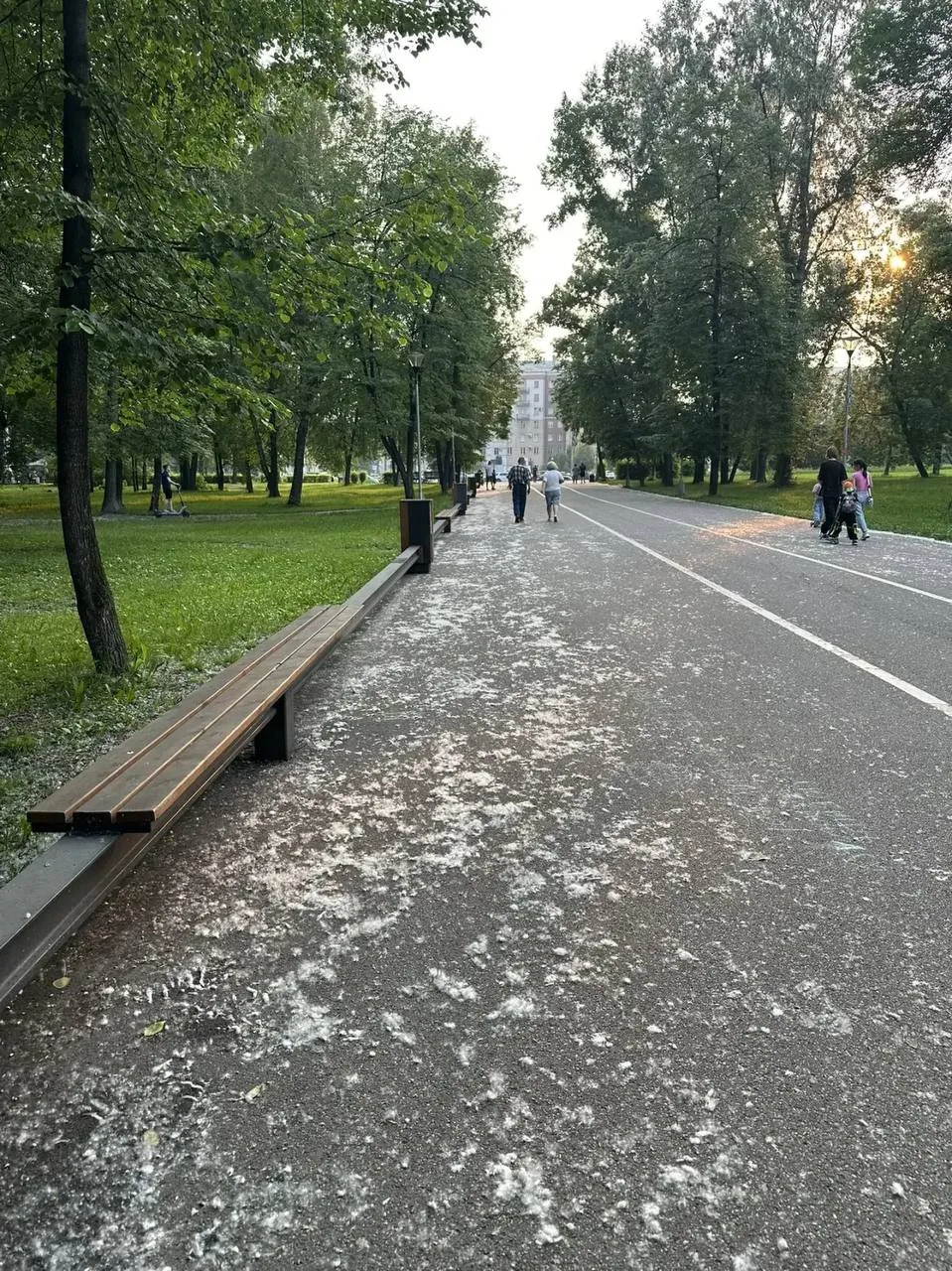 Снегопух в Новокузнецке😁