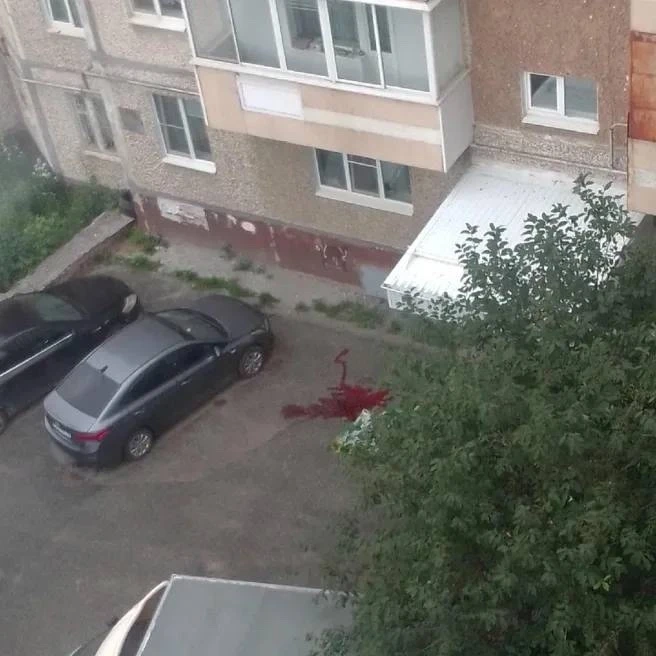 Сегодня днём, около 12:00, под окнами дома №14 по улице Полянка было обнаружено тело мо...