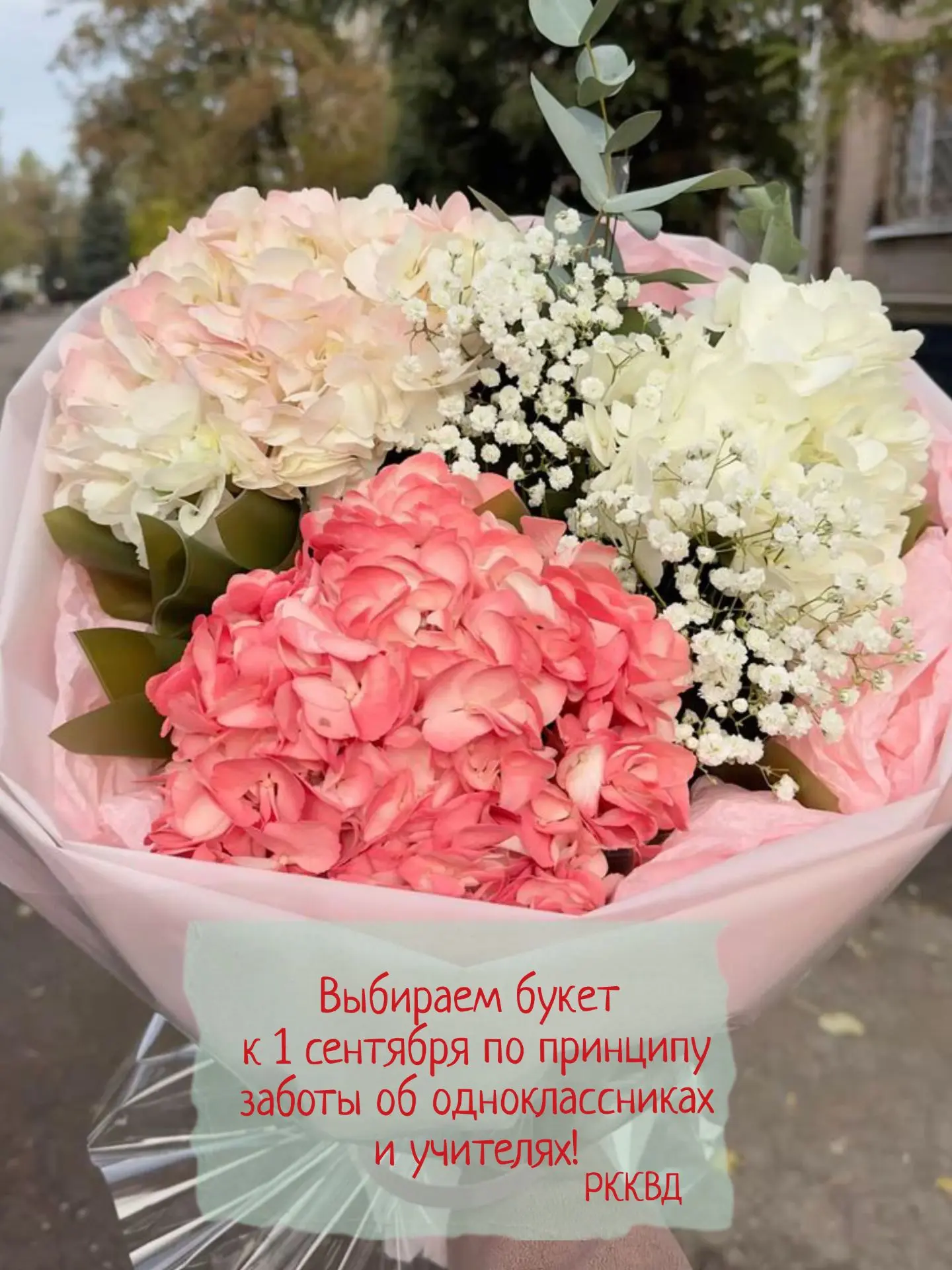 Первое сентября пахнет не только новыми учебниками и осенней прохладой, но и цветами🌺🌺🌺