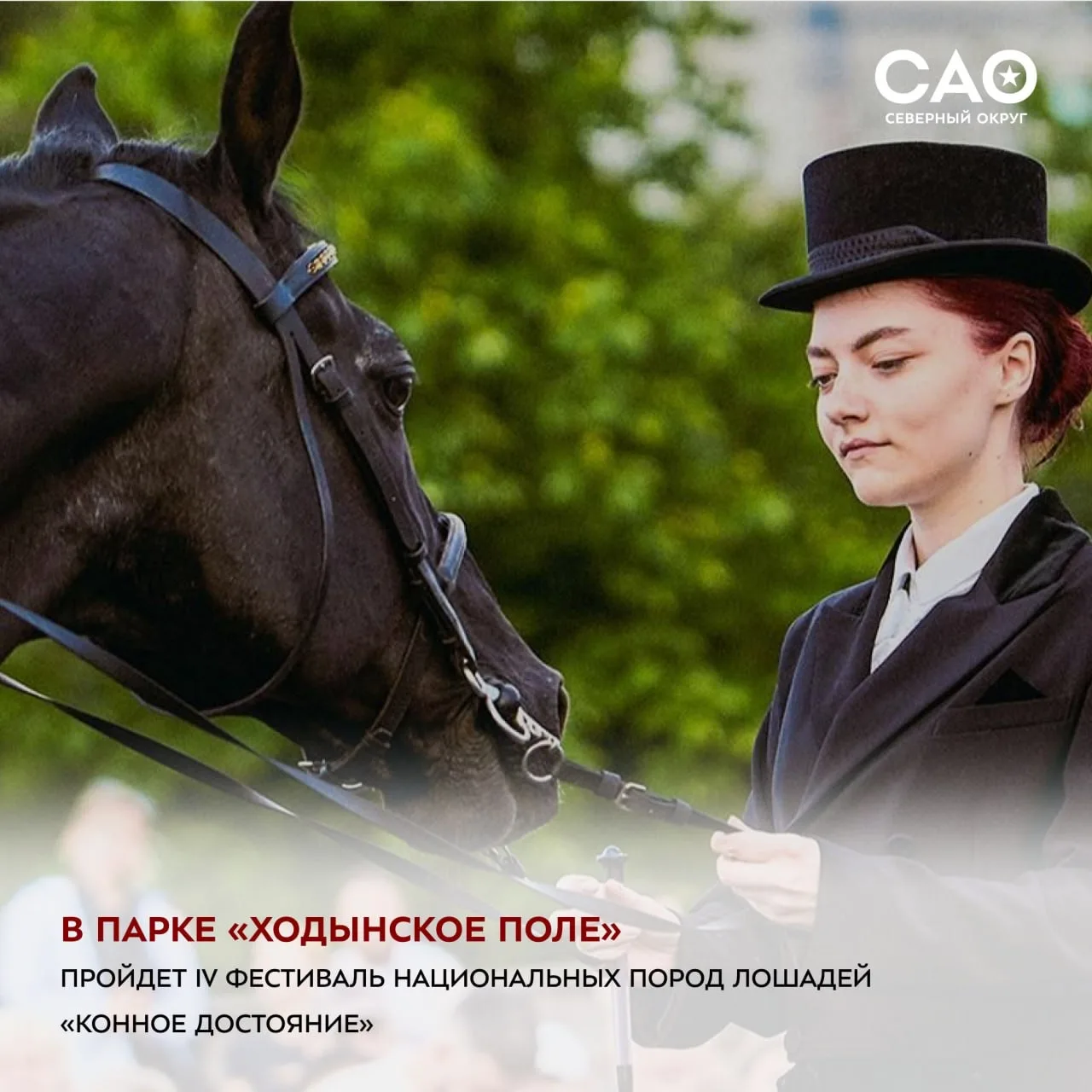 🐎 Погружаемся в мир русских сказок в парке «Ходынское поле»