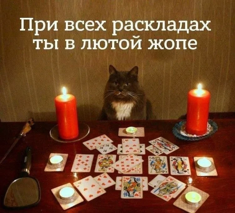 Зумеры массово выбирают таро вместо психотерапии — рынок гаданий уже достиг $2,3 млрд, ...