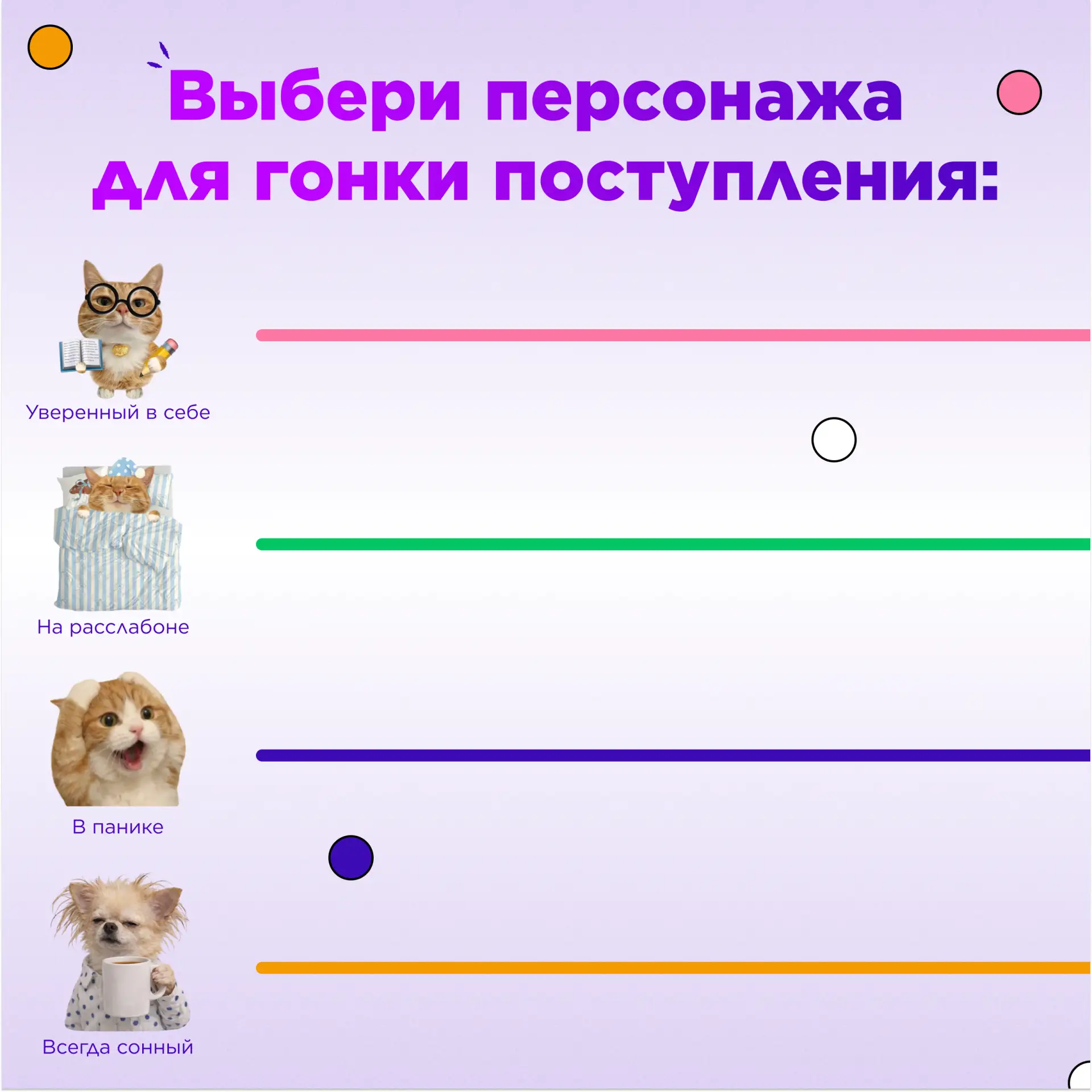 Эти гонки покруче «Формулы-1» 🚗