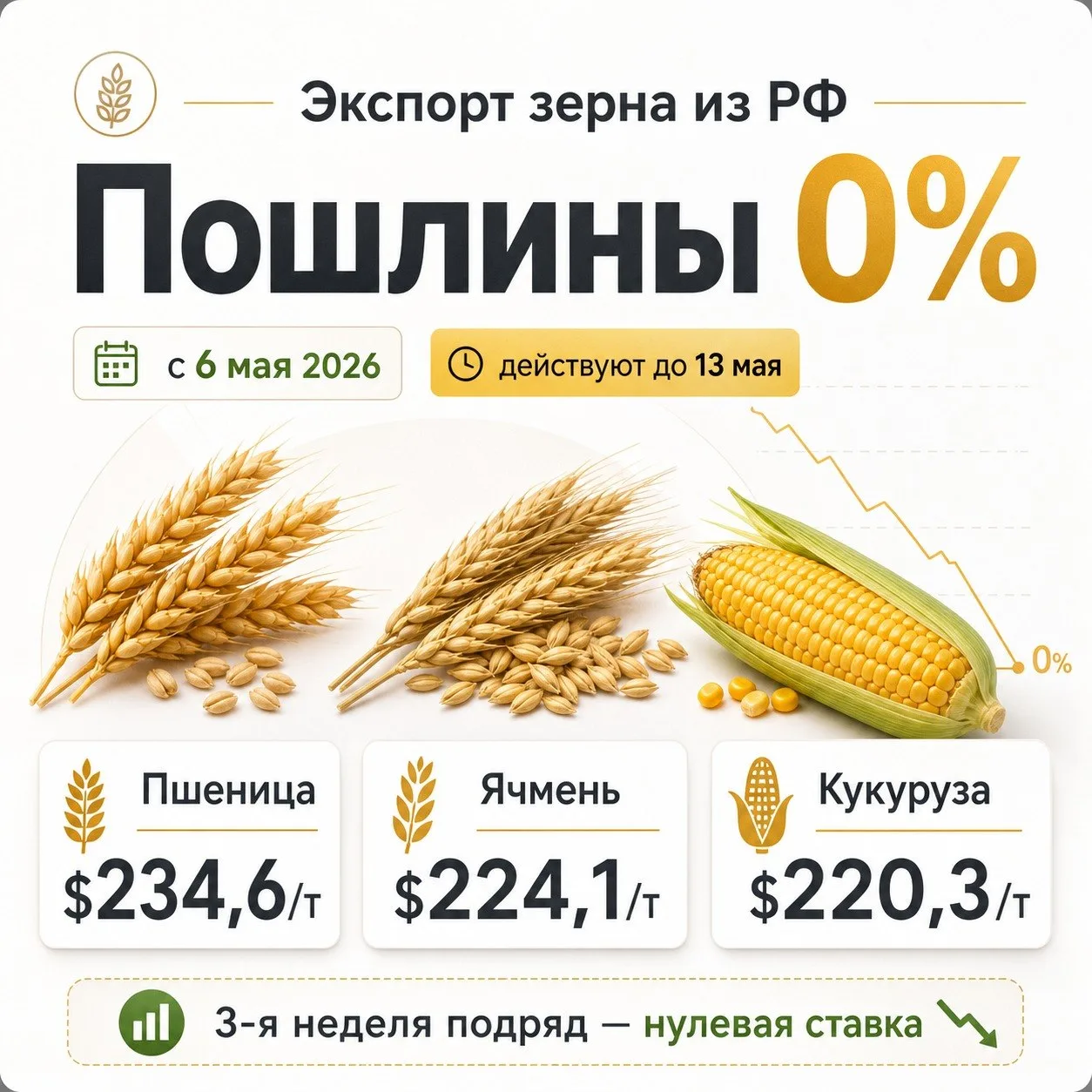 С 6 мая экспортные пошлины на пшеницу, ячмень и кукурузу из РФ снова будут нулевыми. И это уже треть