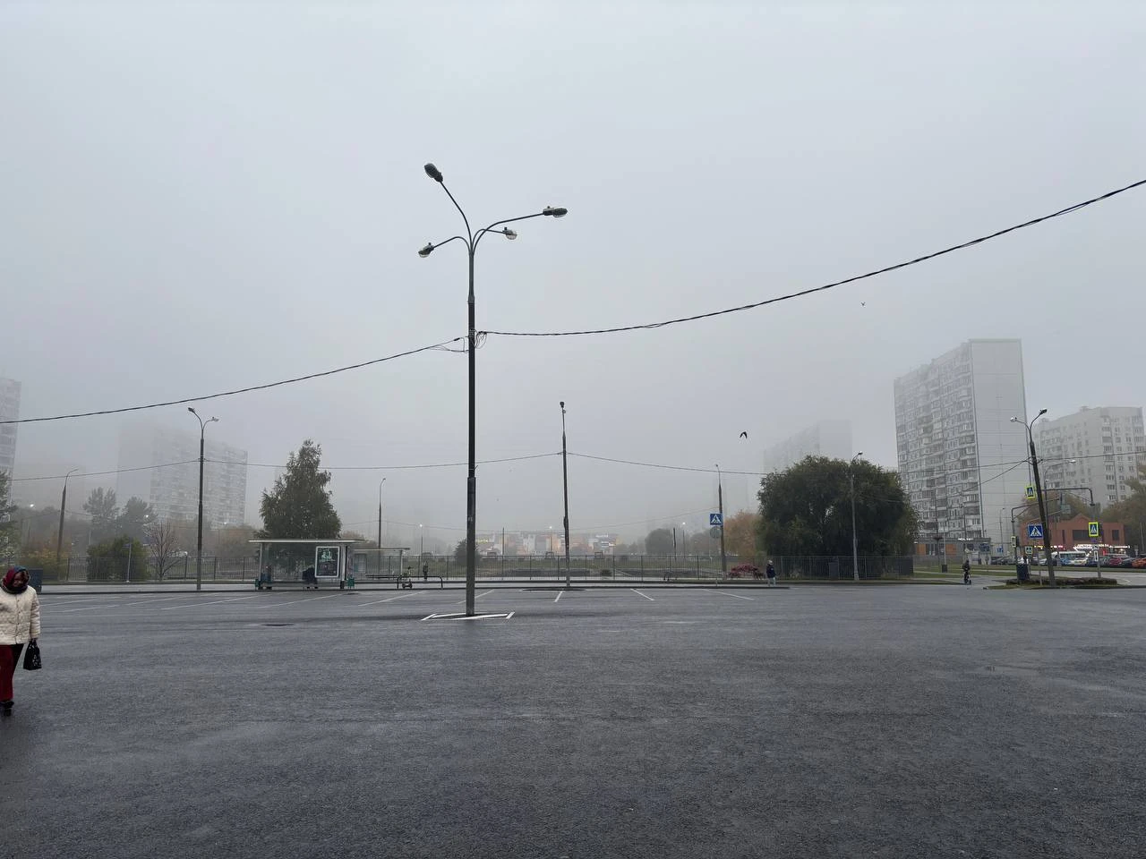 😶‍🌫️ Плотный туман был несколько дней назад в Братеево