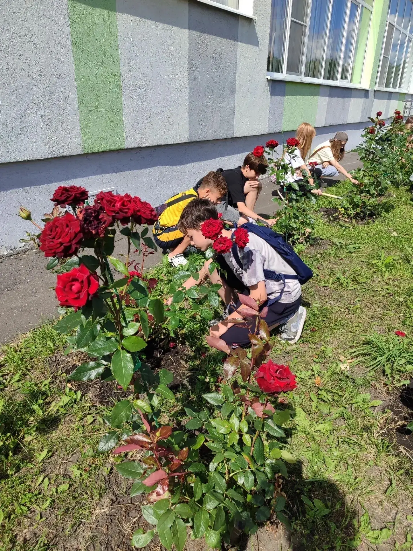 Вот🌞 Лето — время дел и цветов!