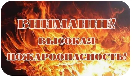 С 25 по 30 июня 2026 года в Новосибирской области  сохранится аномально жаркая погода с температурой