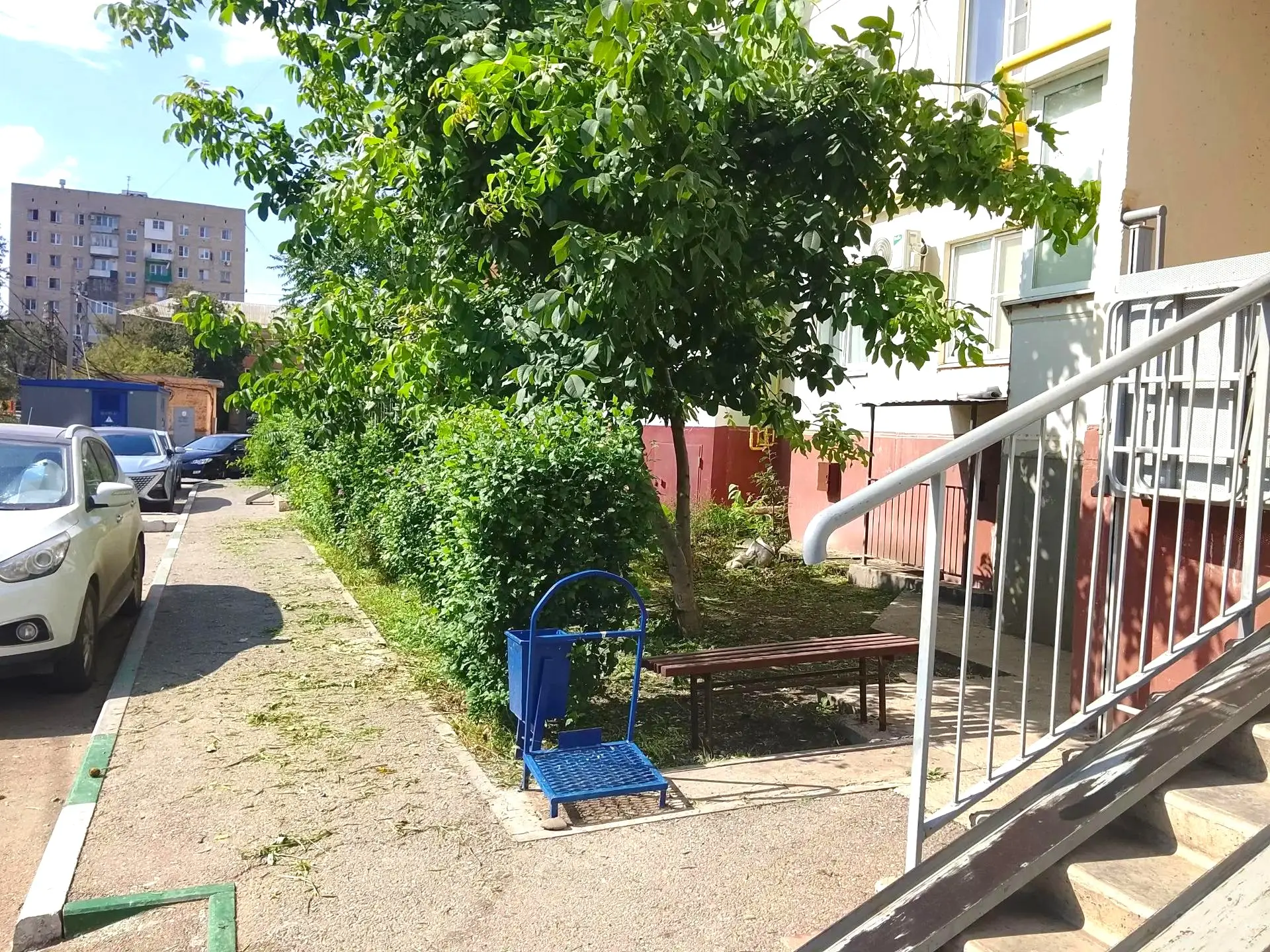 К новости «✂️ 🌿 Форма имеет значение:»
