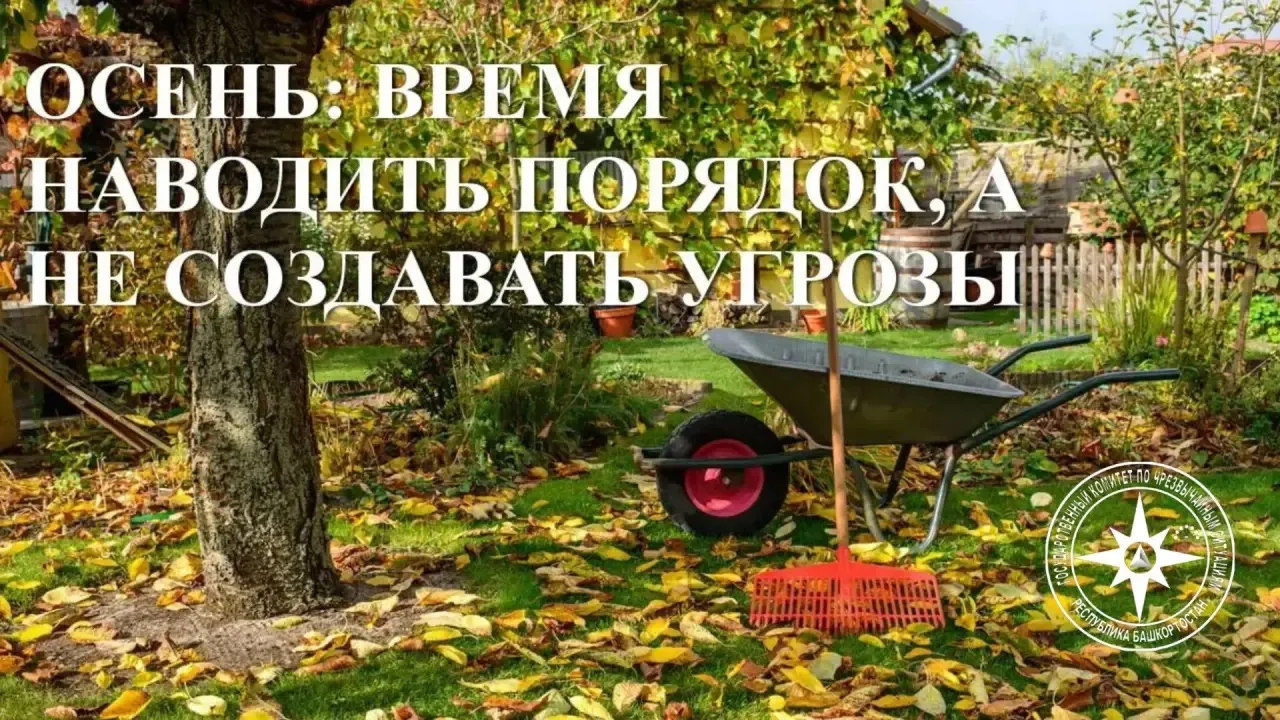 ❗️ОСЕНЬ: ВРЕМЯ НАВОДИТЬ ПОРЯДОК,