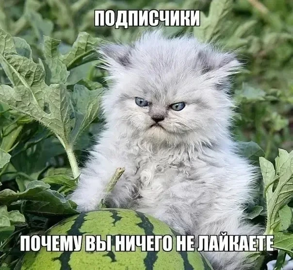 Почему?🤔