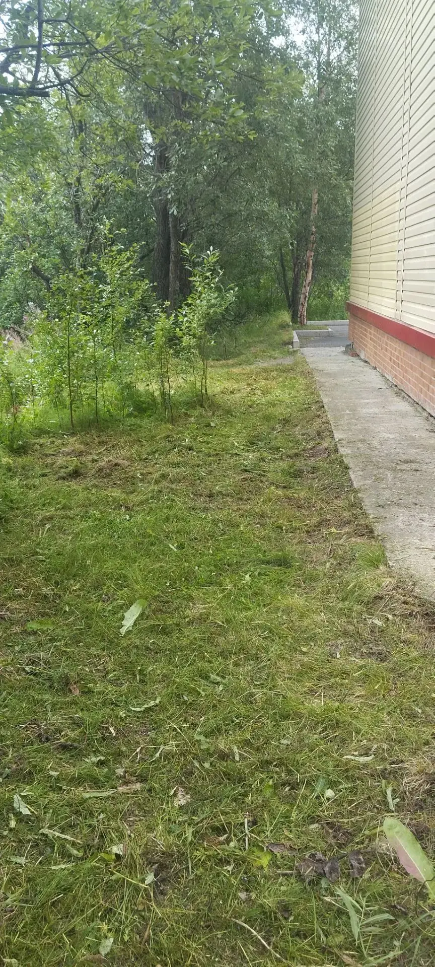 Продолжатся регулярный покос травы. Пр. Металлургов, 9, проведен покос, сбор и вывоз тр...