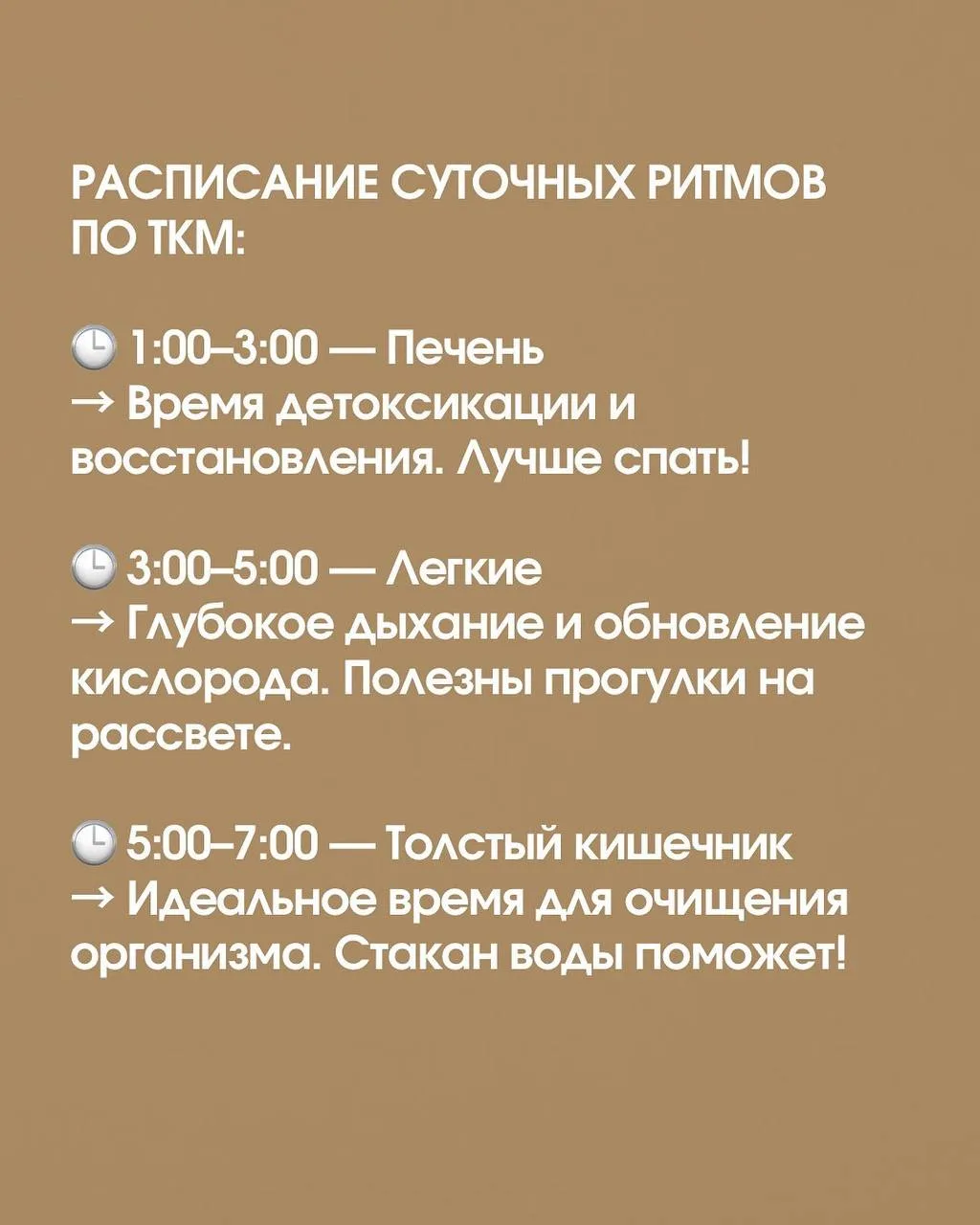 Когда какой орган работает на пике? Разбираемся в биологических ритмах тела 🌞🌙