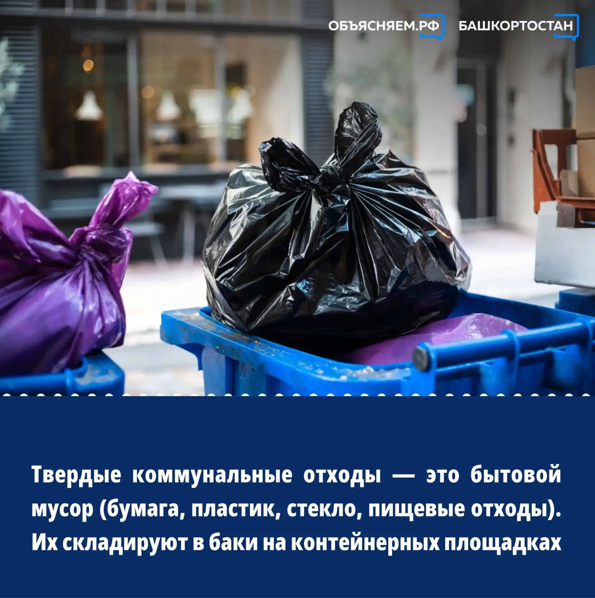 Куда выбрасывать мусор — без путаницы и без штрафов? Разбираемся вместе со специалистам...