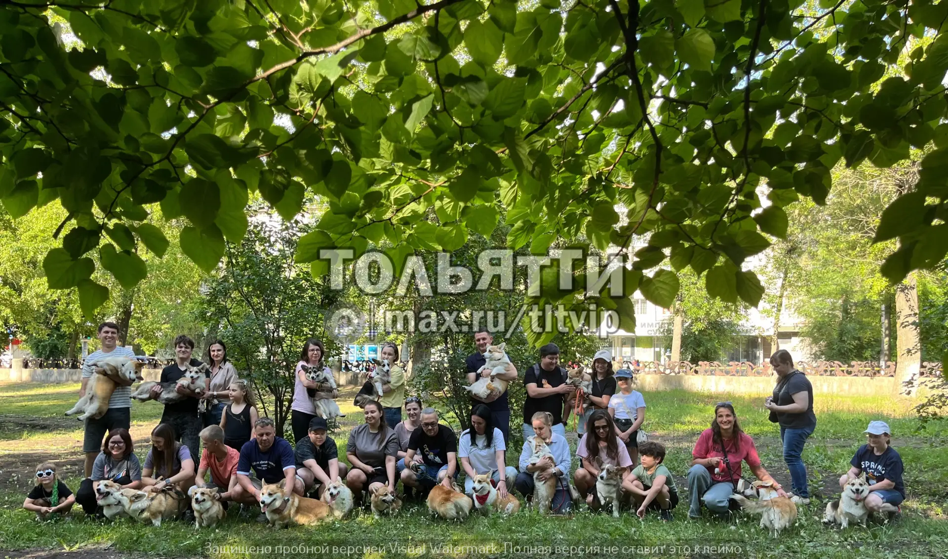 😍В парке Центрального района вчера прошла корги-туса. Хвостатые и ушастые королевские собаки дарили