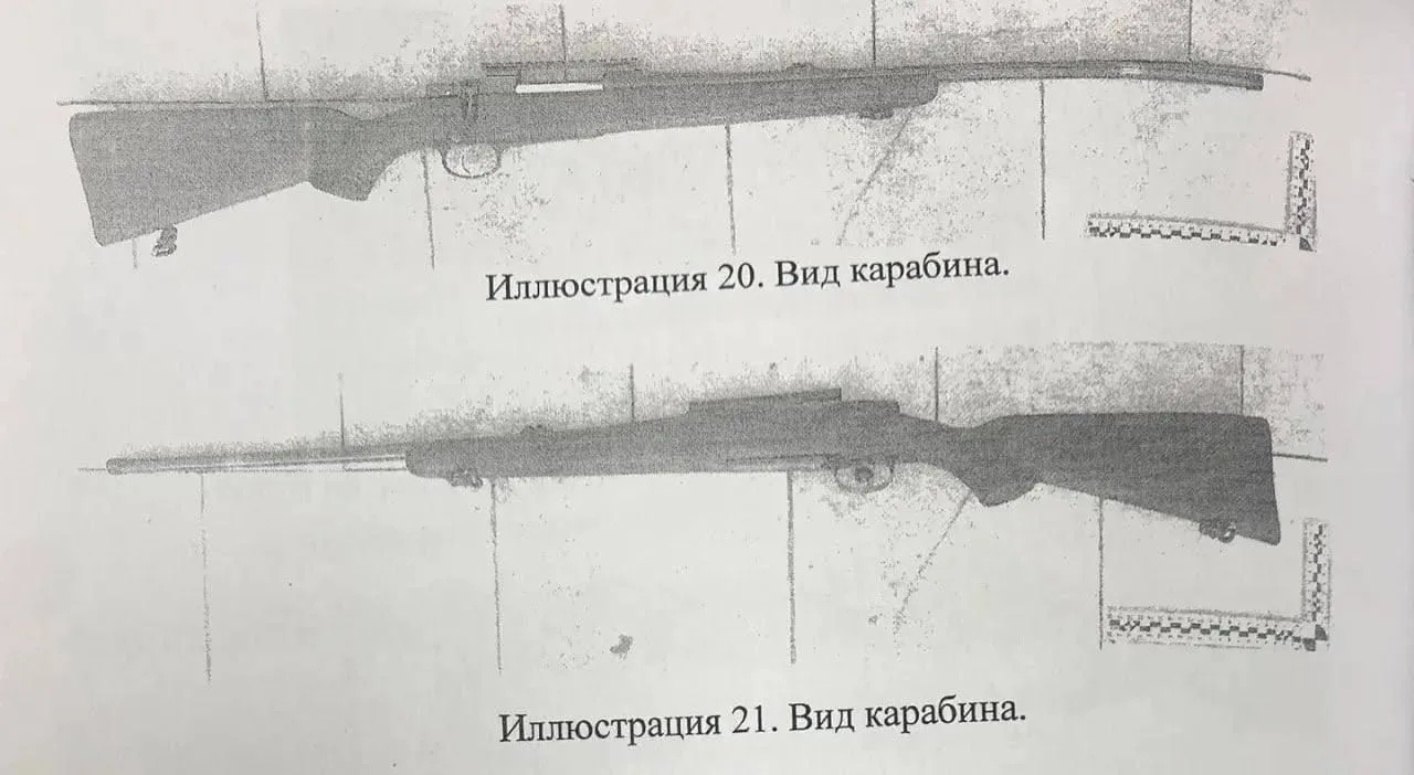 В Старом Осколе суд осудил местного жителя за незаконную охоту на самку кабана в охраняемой зоне В с