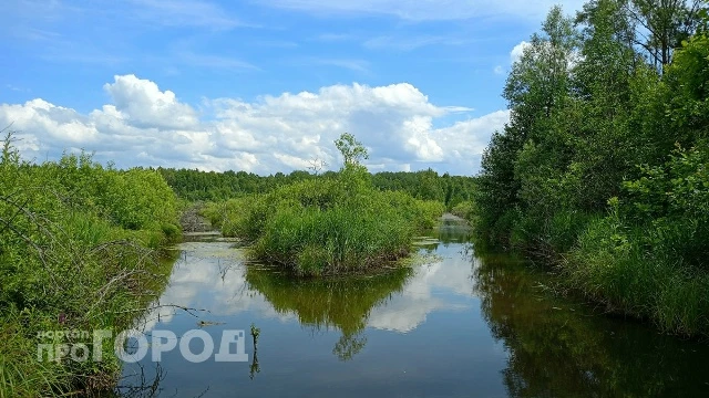 В Чувашии мужчина утонул в запрещенном для купания месте

Фото: "Про Город". Автор: Симикова Полина.