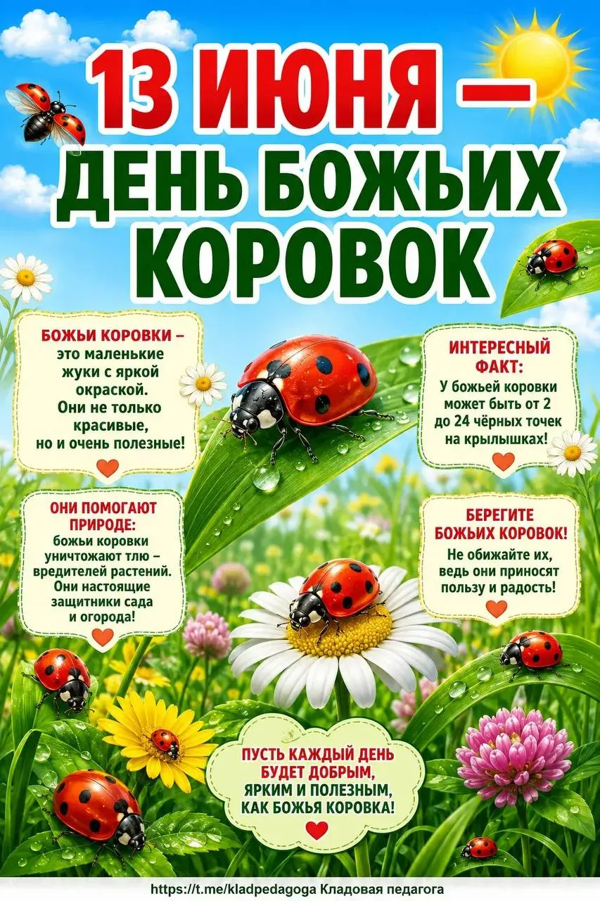 13 июня - День Божьих коровок 🐞