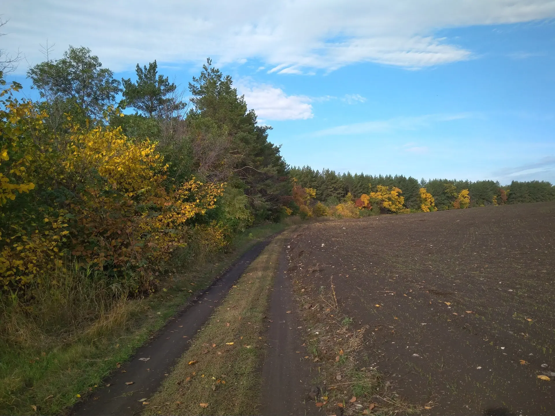 ОСЕНЬ