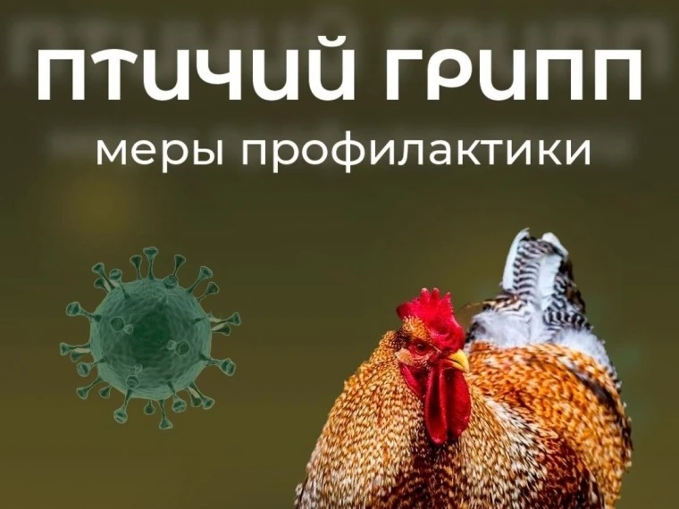 Памятка для населения «Меры по профилактике гриппа птиц»