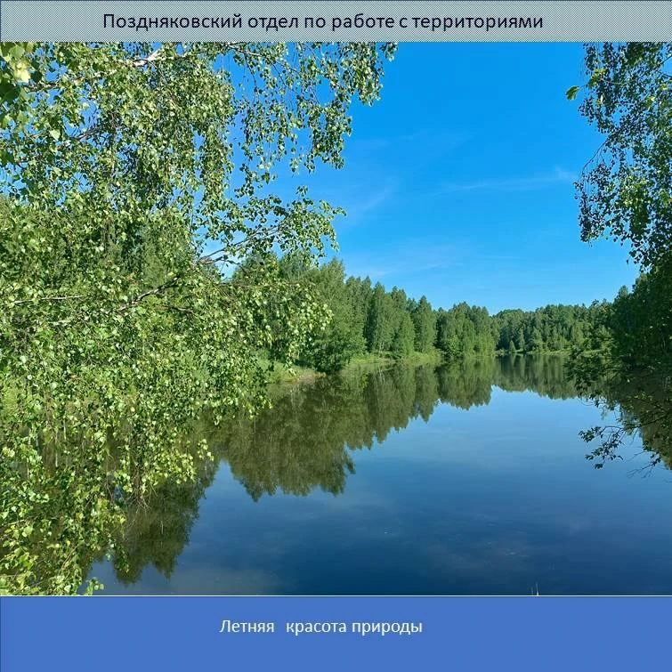 🔈Заканчивается первая рабочая неделя наступившего лета. Впереди нас ожидают выходные. Живя в сельск