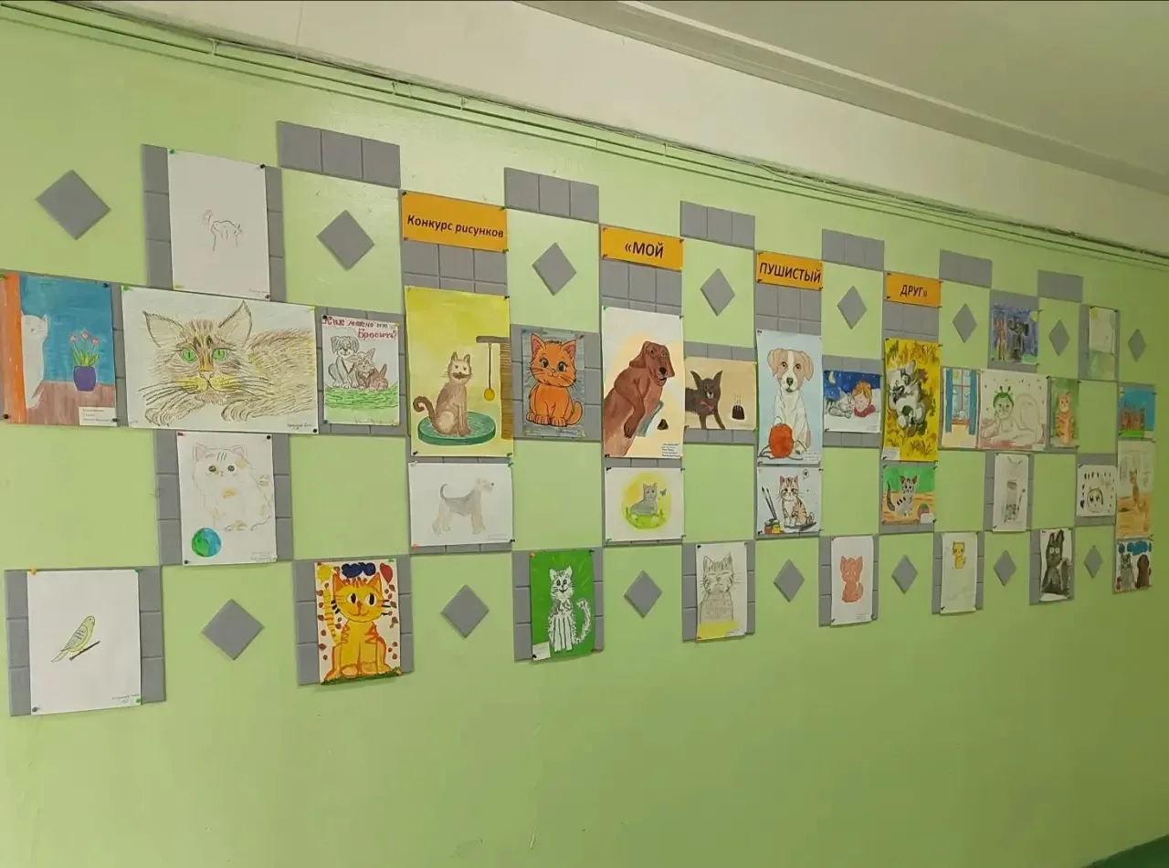 🎓В начальной школе  рамках акции " Лапа помощи"  прошёл конкурс рисунков " Мой пушистый друг " 🐶🐈