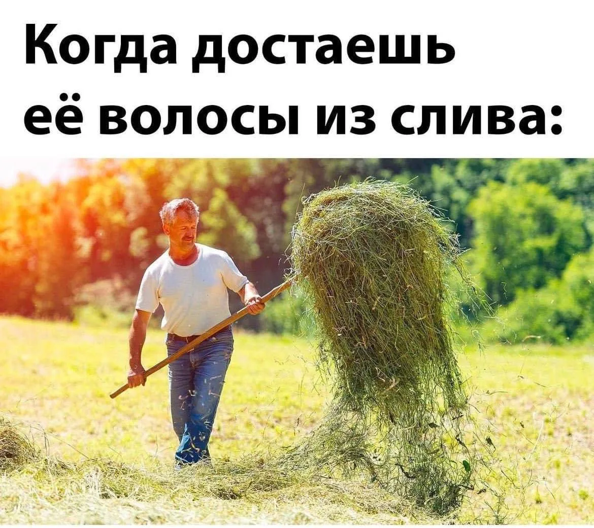 Подписаться