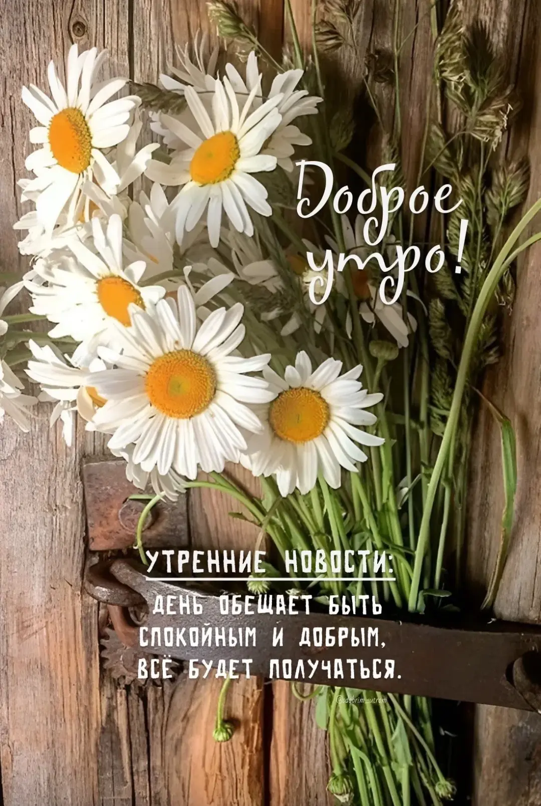 Добрый день, друзья ❤️! 

Послание дня✨

✨✨✨✨✨✨✨✨✨✨✨✨✨✨✨✨✨✨✨✨
МНОГИЕ СИТУАЦИИ В ЖИЗНИ ЗАВИСЯТ ОТ НАШ