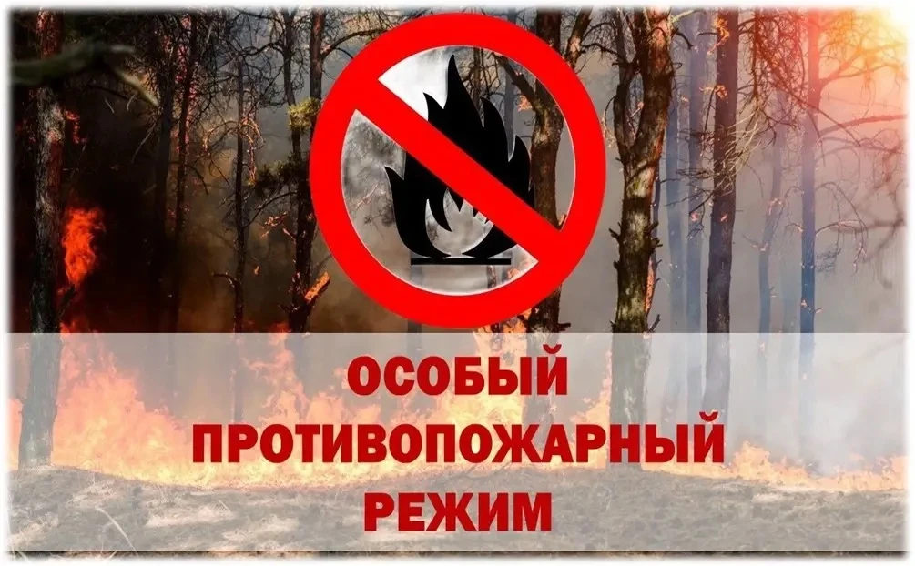 В Ольском муниципальном округе введен особый противопожарный режим

Такие меры приняты для недопущен