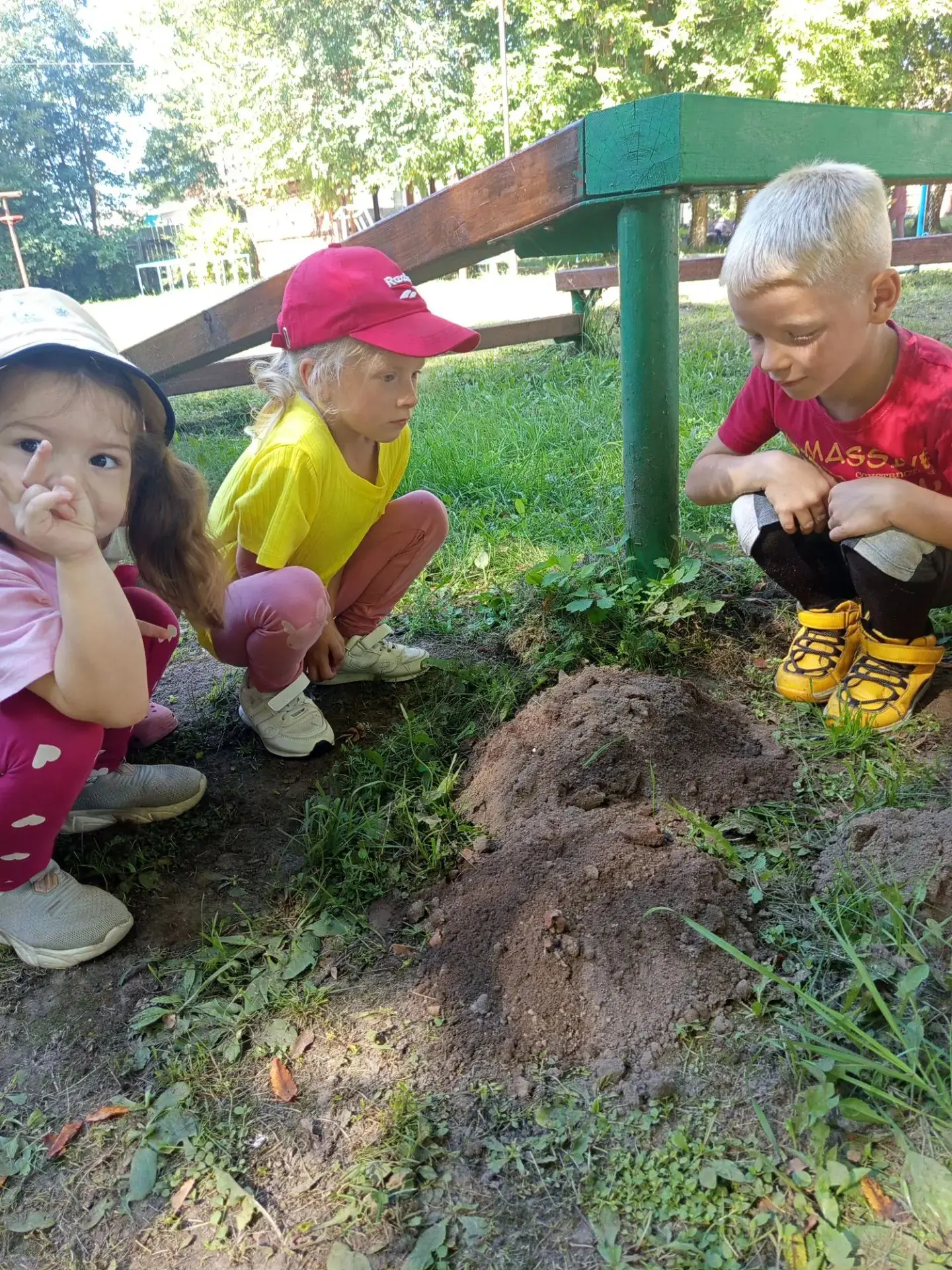 🌿Наши дошколята,Центра развития  ребенка- детского сада "Колосок,заметили на участке д...