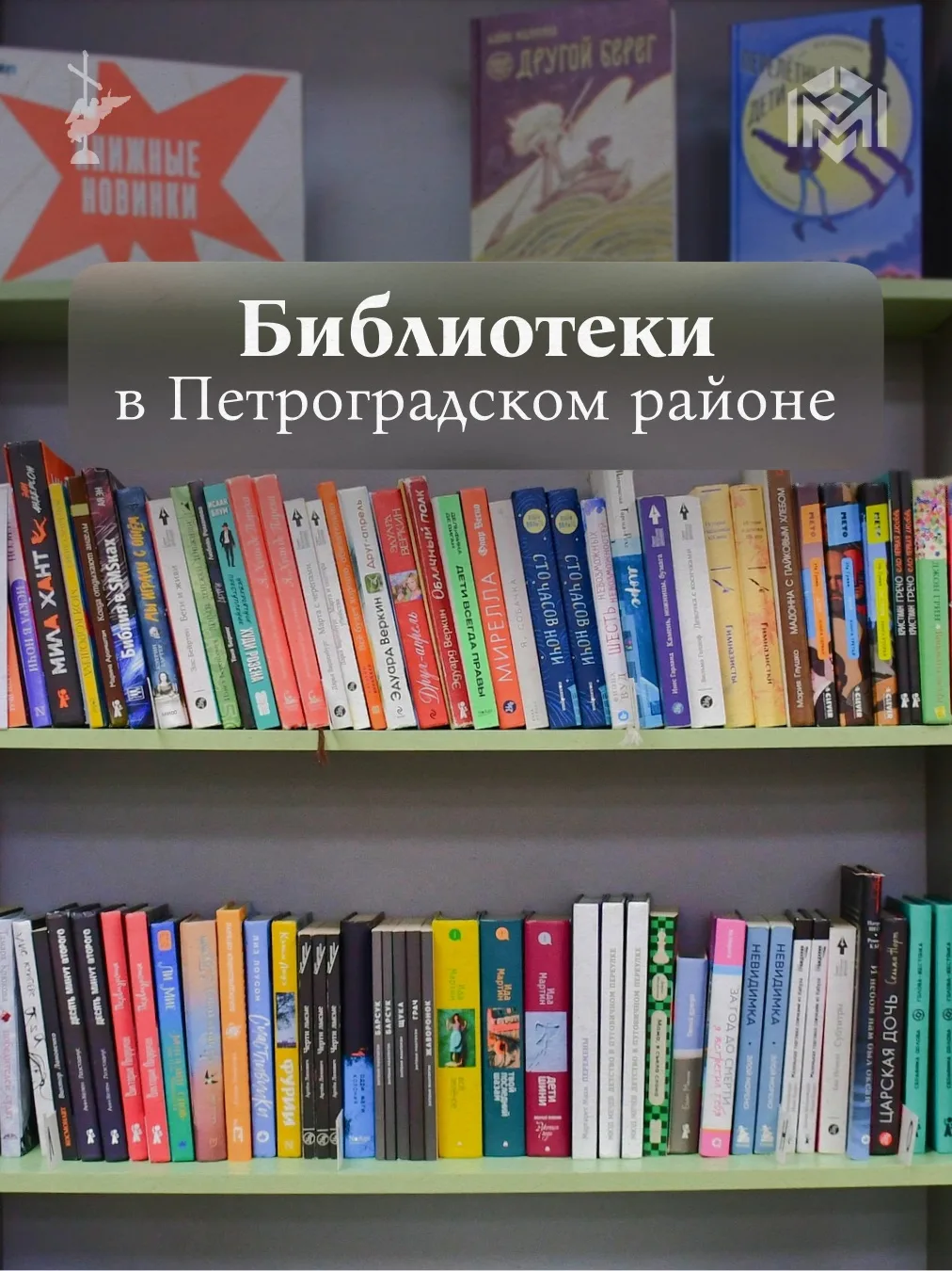 Библиотеки давно стали чем-то большим, чем просто хранилища книг. Это современные, стил...