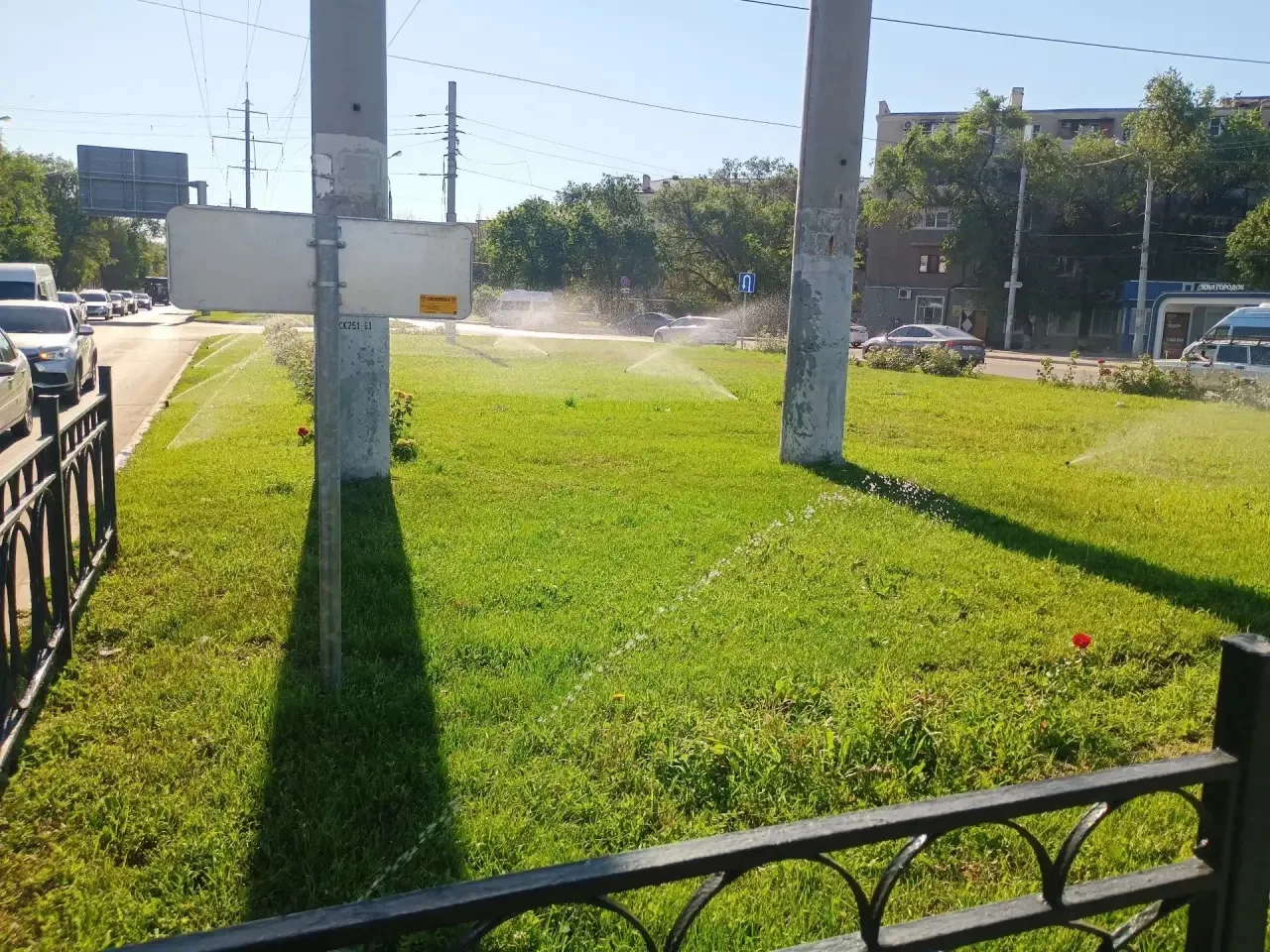 🌿💧 У нас всё цветёт и пахнет, и всё благодаря постоянному поливу! 💧🌿