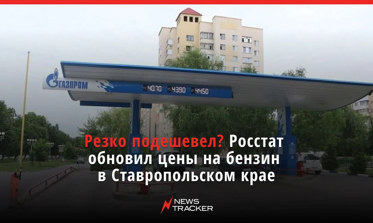 ⛽️ Сразу несколько марок топлива резко подешевели на Ставрополье за минувшую неделю, следует из сооб