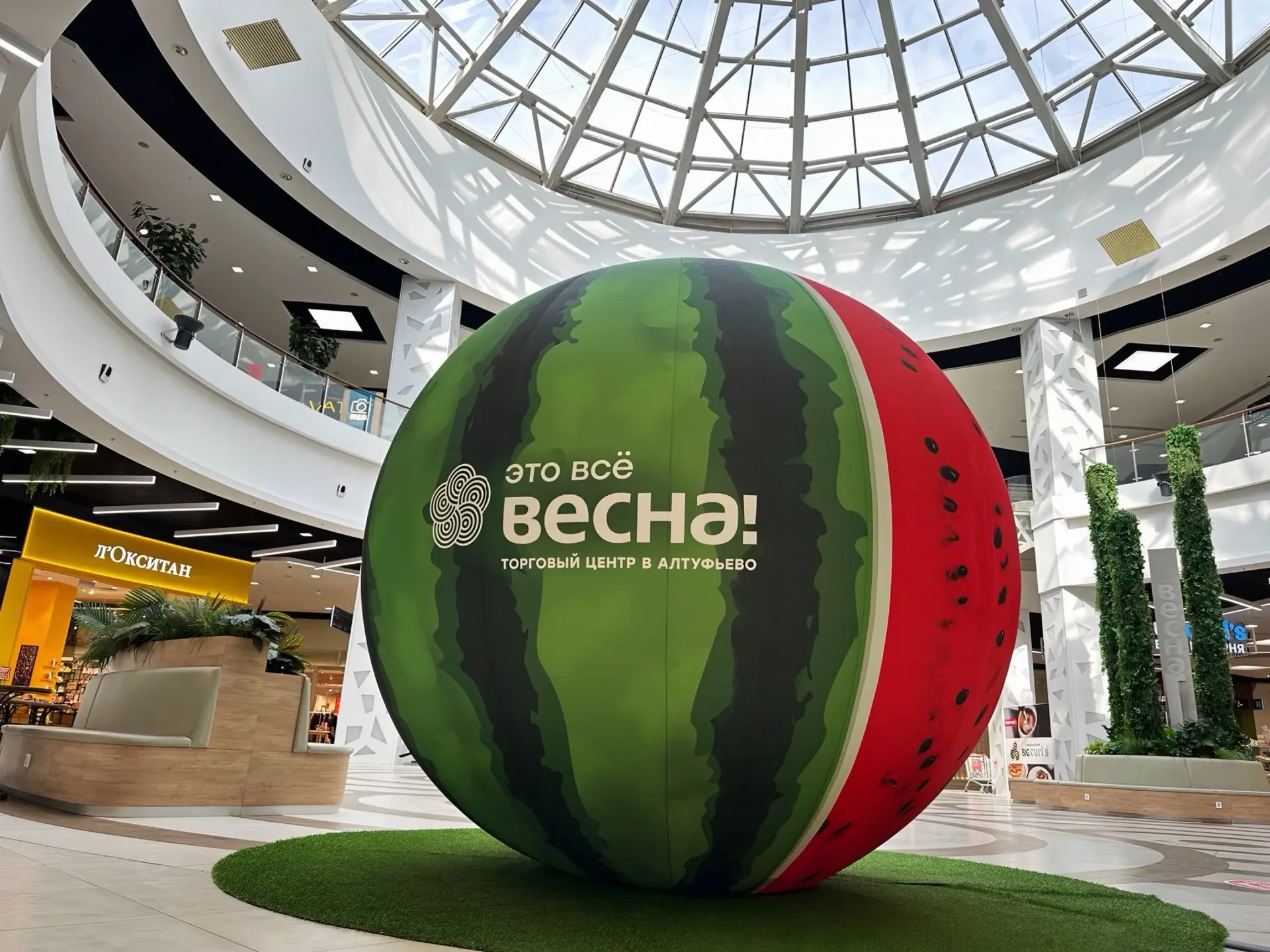 Гигантский арбуз остаётся в Весне на весь сентябрь🍉