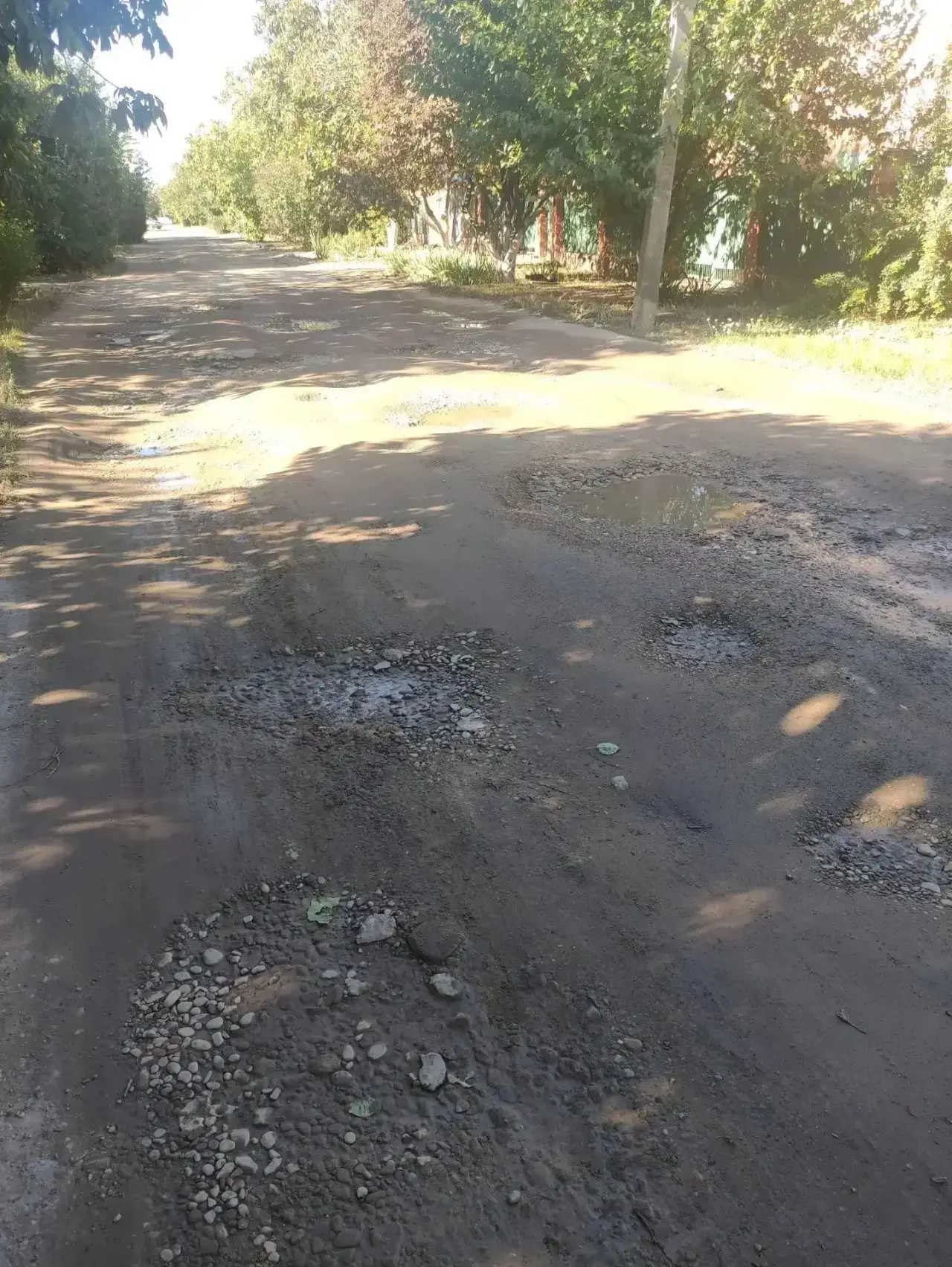 "Так  выглядит улица Тенистая от Абрикосовой до Шоссейной, никому нет дела,хотя по этой...